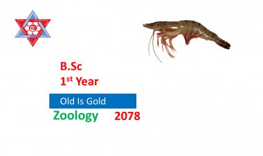 Zoology Question-2078(Bsc. I Year)